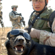 Image for article titled 26 Awesome Photos of War Dogs Showing How Badass and Cute They Can Be